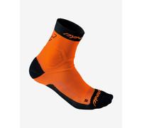 Chaussettes Dynafit Alpine orange fluorescent - S