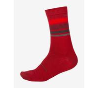 Chaussettes Endura Stripe BaaBaa Merino rouges foncées - L-XL
