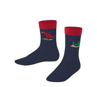 Chaussettes enfant Falke Dinosaurs Bleu 31/34