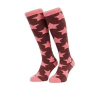 Chaussettes équitation LeMieux Sasha Star Rouge 36/40