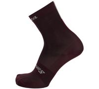 Chaussettes Eroica TIMO bordeaux