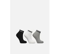 Chaussettes et collants adidas sportswear C Lin Ankle 3P pour Accessoires XS Gris