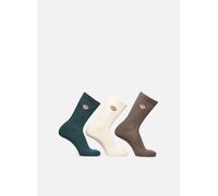 Chaussettes et collants Dickies Valley Grove pour Adulte 35 - 38 Marron