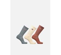 Chaussettes et collants Dickies Valley Grove Socks pour 35 - 38 Vert