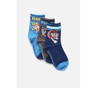 Chaussettes et collants Sarenza Wear Lot de 3 paires PAT PATROUILLE garçon pour Enfant 23 - 26 Bleu