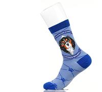 Chaussettes fantaisie colorées et confortables en coton, unisexe, motif animaux de compagnie, Cavalier King Charles Spaniel, Large
