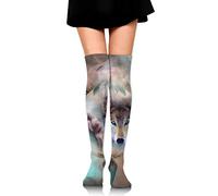 Souris nettoyante verre