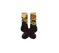 Chaussettes Jimmy Lion Athletic Bear Rock Marron 41/46