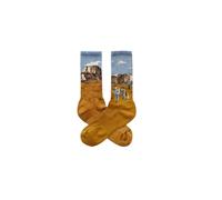 Chaussettes Jimmy Lion Athletic Wolf Trail Vert 41/46