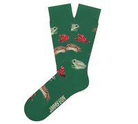 Chaussettes Jimmy Lion Frogs Vert 41/46