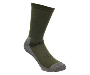 Chaussettes Pinewood Coolmax Liner Vert foncé / brun 40-42