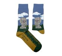 Chaussettes Pink Floyd Division Bell