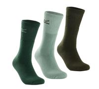 Chaussettes Regatta In A Box (x3) Vert TU