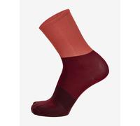 Chaussettes Santini Big Bengal rouge bordeaux - XL-XXL