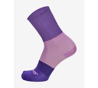 Chaussettes Santini Big Bengal violet - XS-S
