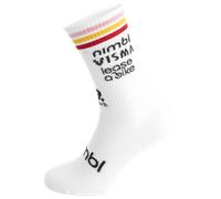Chaussettes TEAM VISMA LEASE A BIKE The Trilogy 2026 blanc