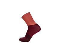 Chaussettes unisexe santini big bengal bordeaux