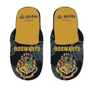 Chausson Harry Potter (Jaune, Système Taille Chaussures EU, Enfant de 2 à 5 ans, Numérique (intervalle), Moyen, 29, 30)