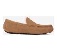 Chaussons UGG Ascot pour Homme 44 Beige