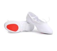 Chaussons de Danse Tissu Cuir Naturel Ballet Chaussures De Danse for Femmes Talon Moyen Doux Jazz Salsa Chaussures De Danse Baskets for Filles Chaussures De Yoga(Cloth Rubber White,3)