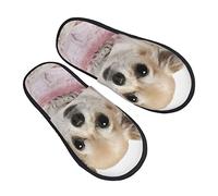 Chaussons Femme Homme Chien Chihuahua Chaussures D'Intérieur Confortable Pantoufles En Peluche Antidérapant Chaussons D'Hiver Pour Voyager Intérieur Extérieur M