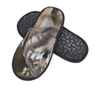 Chaussons Femme Homme Loup Gris Sauvage Et Sauvage Chausson Hommes Confort Doublées En Peluche Pantoufles Pour Invités, Pour Intérieur Extérieur, Femmes, Fête, M