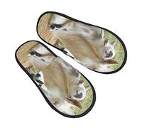 Chaussons Femme Homme Petite Chèvre Pantoufles En Peluche Chaude Hiver Pantoufles Confort Chaussures D'Intérieur Pour Voyager Hôtel Intérieur L