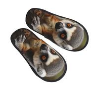 Chaussons Maison Singe Lémurien Mignon Anti Odeur Pantoufles En Coton Épais Chaussons Pour Outdoor Unisex Hôtels L