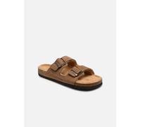 Chaussons Scholl JULIEN COLLECTION pour 41 Marron