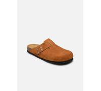 Chaussons Scholl Olivier Collection pour 40 Marron