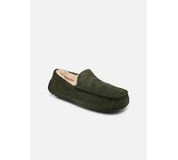 Chaussons UGG Ascot pour Homme 40 Vert