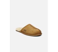 UGG Homme Scuff Mules, Noisette, 40 EU