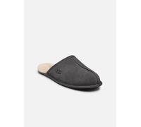 UGG Pour des hommes Pantoufles en daim Scuff, Gris