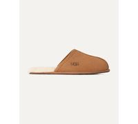 Chaussons UGG Scuff pour Homme 41