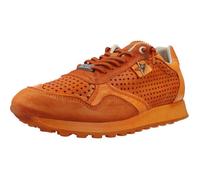 Cetti C848 V26 Ambar 41 EU