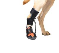 Chaussure corrective pour chien pour soulever en toute sécurité les gouttes d'orteils Attelle de pied avec bobine pour chiens sans jointures Attelle de bottes pour chien