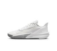 Chaussure de basket Nike Precision 7 Summit White/Particle Grey/Metallic Silver 48.5