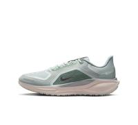 Chaussure de running sur route imperméable Nike Pegasus 41 GORE-TEX pour homme Light Pumice/Pure Platinum/Silt Red/Metallic Silver 46