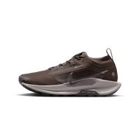 Chaussure de trail imperméable Nike Pegasus Trail 5 GORE-TEX pour femme Ironstone/Velvet Brown/Cave Stone/College Grey 41