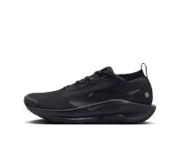 Chaussure de trail imperméable Nike Pegasus Trail 5 GORE-TEX pour homme Noir/Anthracite/Noir 39