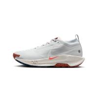 Nike Pegasus Trail 5 Gore-Tex Chaussures homme Pegasus Trail 5 Gore-Tex 43 Gris/argent