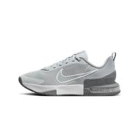 Chaussure d'entraînement Nike Air Max Alpha Trainer 6 pour homme Cool Grey/Wolf Grey/Pure Platinum/Blanc 45