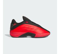 Chaussure Nova IIInfinity Red / Red / Core Black 44 2/3