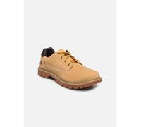 Chaussures à lacets Caterpillar COLORADO LOW 2 pour Homme 40 Marron