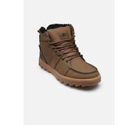 Chaussures à lacets DC Shoes Woodland pour 41 Marron