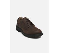 Chaussures à lacets Pius Gabor CORKY pour Homme 40 Marron