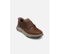 Chaussures Skechers Slip-ins GARZA - DURAN marron blanc - 41