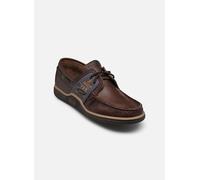 Chaussures à lacets TBS Globek pour Homme 43 Marron