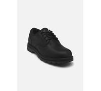 Chaussures à lacets Timberland BRITTON ROAD LACE UP WATERPROOF SHOE pour Homme 45 Noir