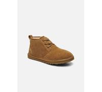 Chaussures à lacets UGG M Neumel pour 40 Marron